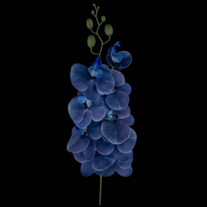 Artificial Flower Phalaenopsis Blue