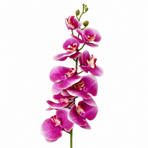 Artificial Phalaenopsis Hot Pink