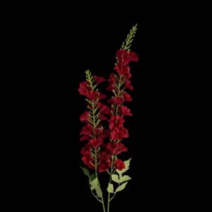 Artificial Morning Glory Red