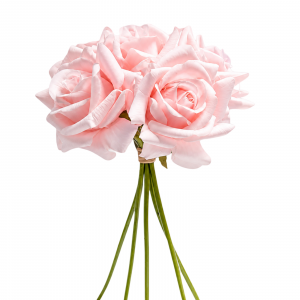 Hyper Realism Rose Baby Pink (5 heads)
