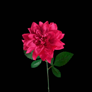 Artificial Dahlia Hot Pink