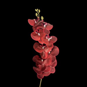 Artificial Flower Phalaenopsis  Red