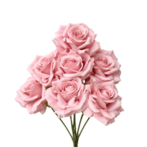 Artificial Rose Bunch Old Rose(7 heads)