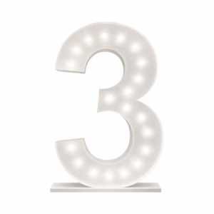 Pre Order Giant LED Number Light 1.2 Meter 3