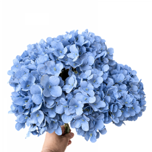 Artificial Big Hydrangea Bunch  Dark Blue (5 heads)