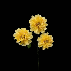 Artificial Dahlia Yellow