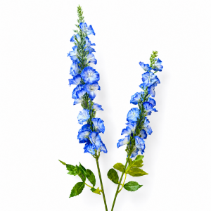Artificial Morning Glory Royal Blue