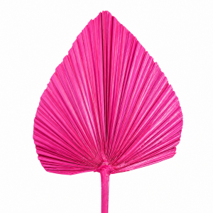 Dired Palm Leaf Hot Pink