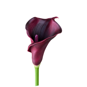 Artificial Calla Lily Burgundy
