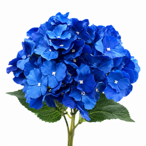 Artificial Big Petal Hydrangea Bunch Royal Blue (5 heads)